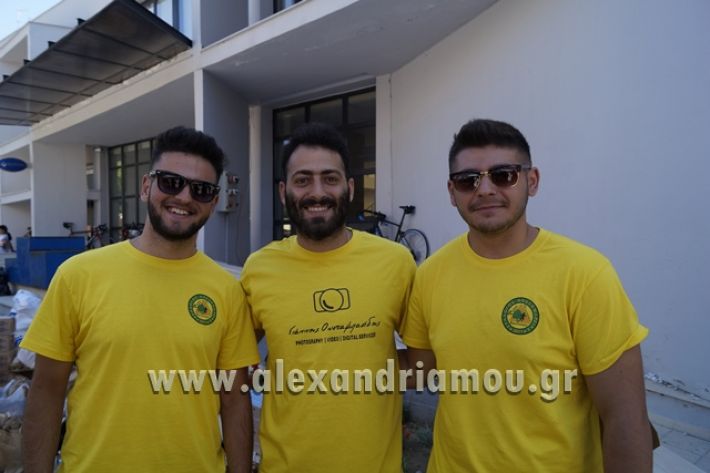 alexandriamou_1_alexandrinos_dromos102